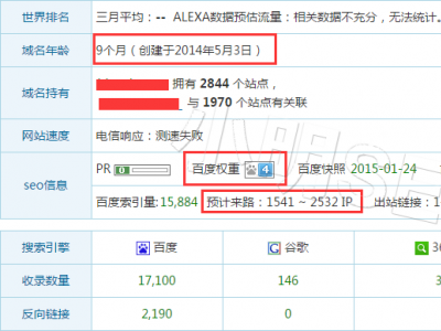 （纯白帽）九个月权4的网站是如何办到的