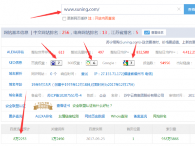 苏宁易购电商网站seo优化经典案例